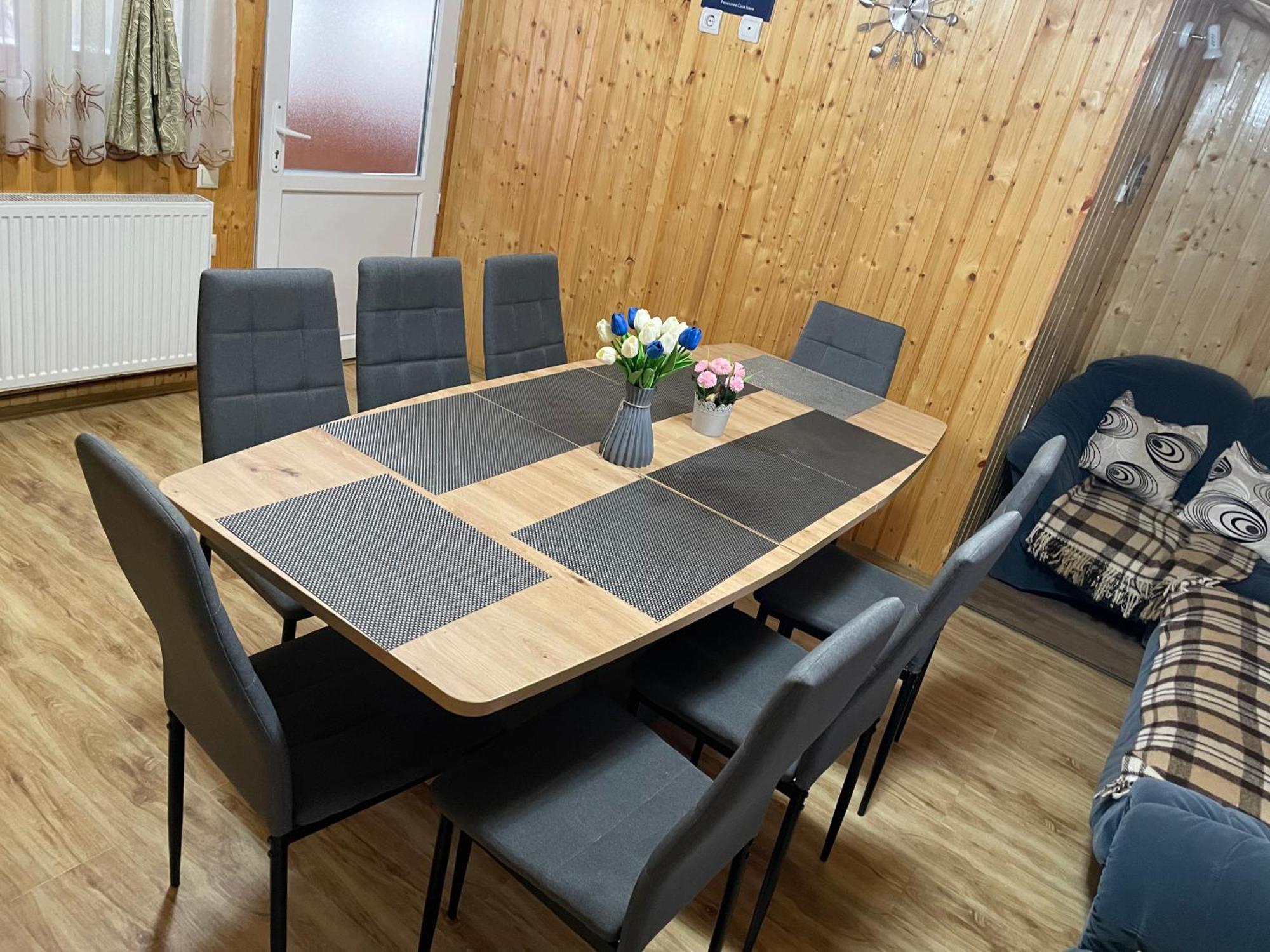 Pensiunea Casa Ioana Şugag 外观 照片